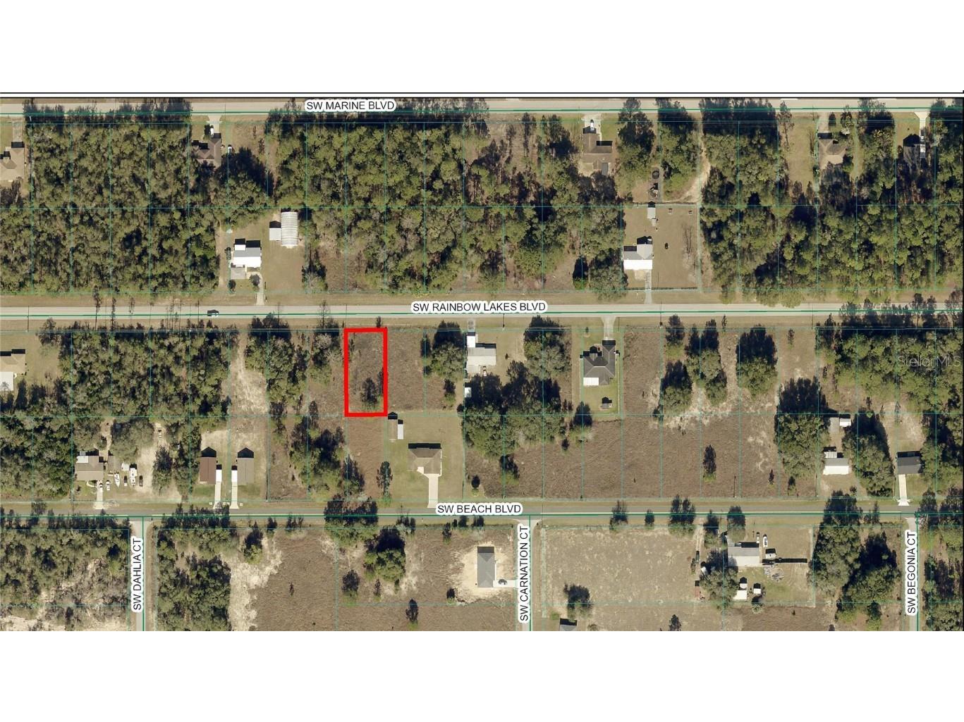 TBD SW Rainbow Lakes Boulevard Dunnellon FL 34431 OM696504 image1