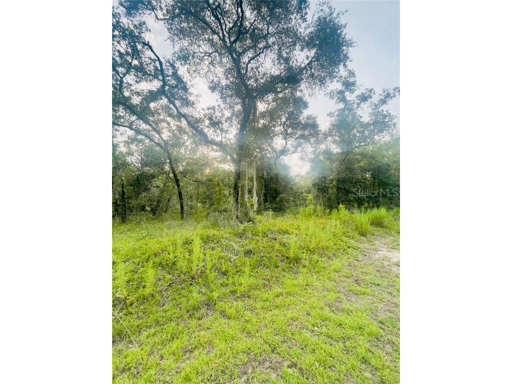 TBD SW Remora Lane Dunnellon FL 34431 OM661147 image1