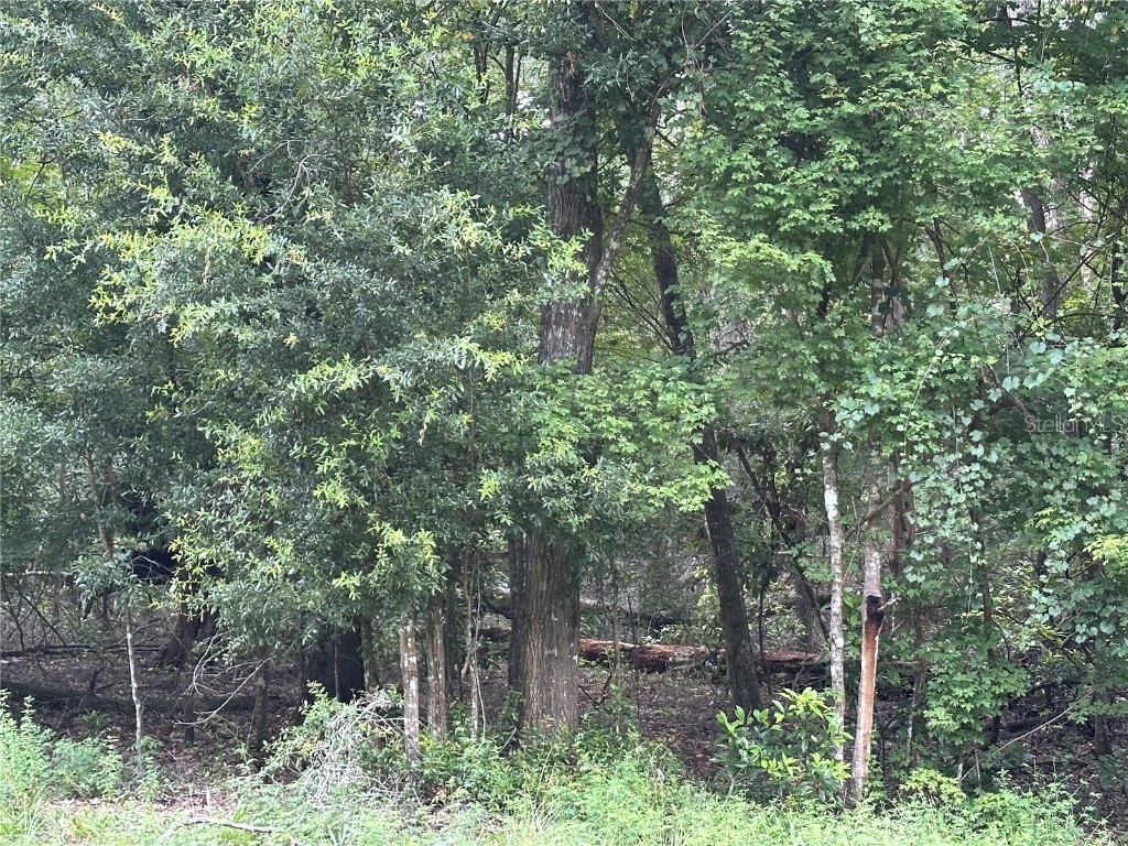 TBD SW Reno Way Fort White FL 32038 - SANTA FE RIVER GC533283 image1