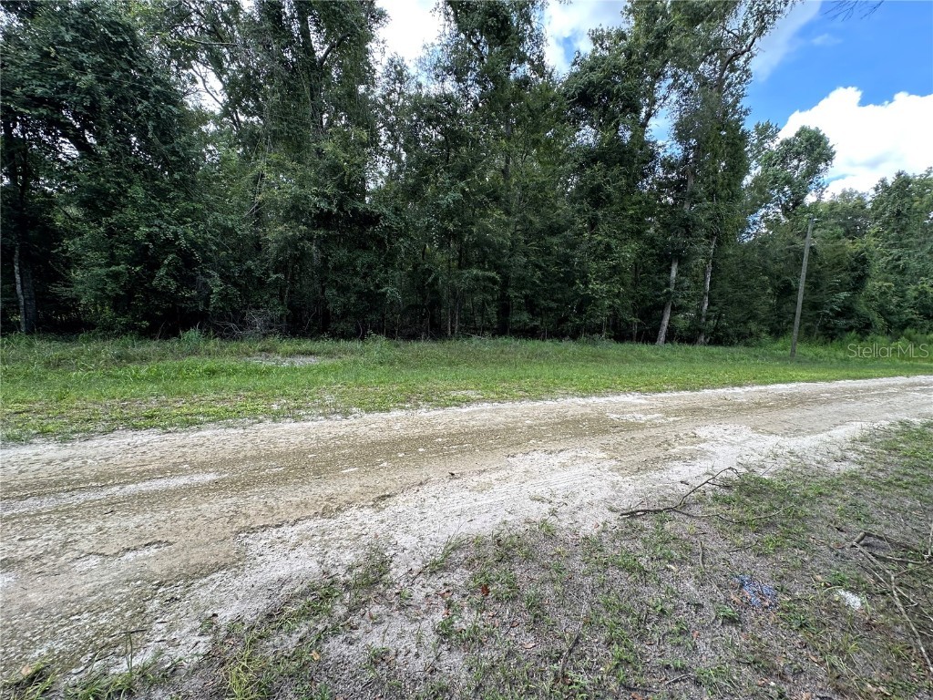 TBD SW Reno Way Fort White FL 32038 - SANTA FE RIVER GC533283 image2