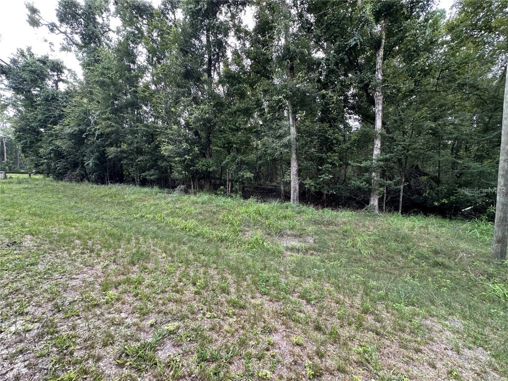 TBD SW Reno Way Fort White FL 32038 - SANTA FE RIVER GC533283 image4
