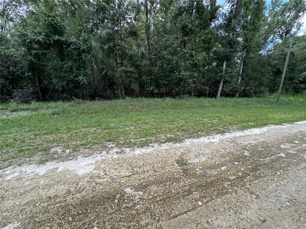 TBD SW Reno Way Fort White FL 32038 - SANTA FE RIVER GC533283 image6