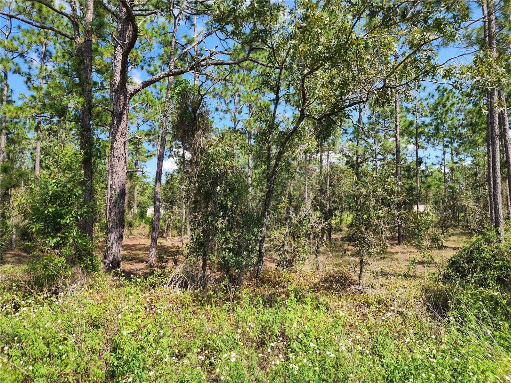 TBD SW Ridgewood Road Dunnellon FL 34431 OM686324 image1
