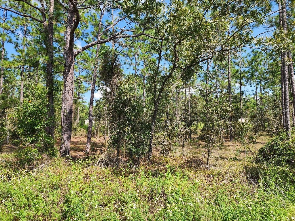 TBD SW Ridgewood Road Dunnellon FL 34431 OM688095 image1