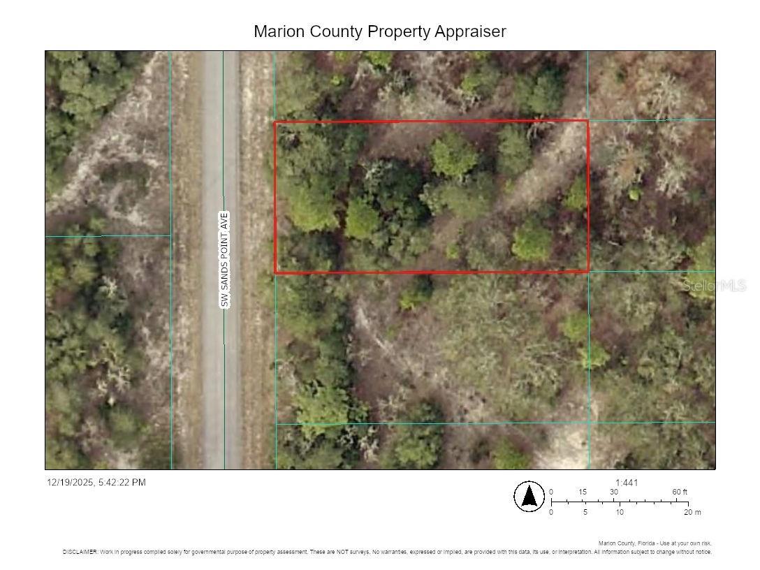 TBD SW Sands Point Avenue Dunnellon FL 34431 TB8458024 image1