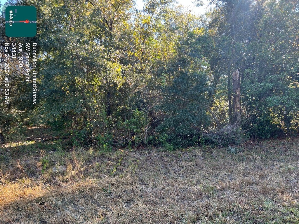 TBD SW Sands Point Dunnellon FL 34431 OM690171 image1