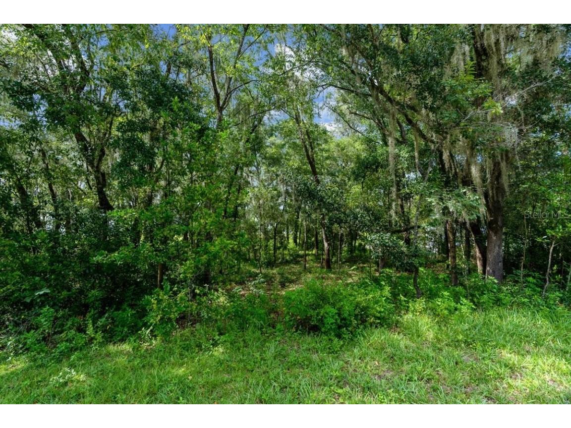 TBD SW Shorewood Drive Dunnellon FL 34431 OM707260 image11