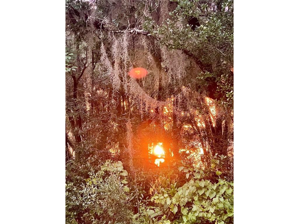 TBD SW Shorewood Drive Dunnellon FL 34431 OM707260 image12