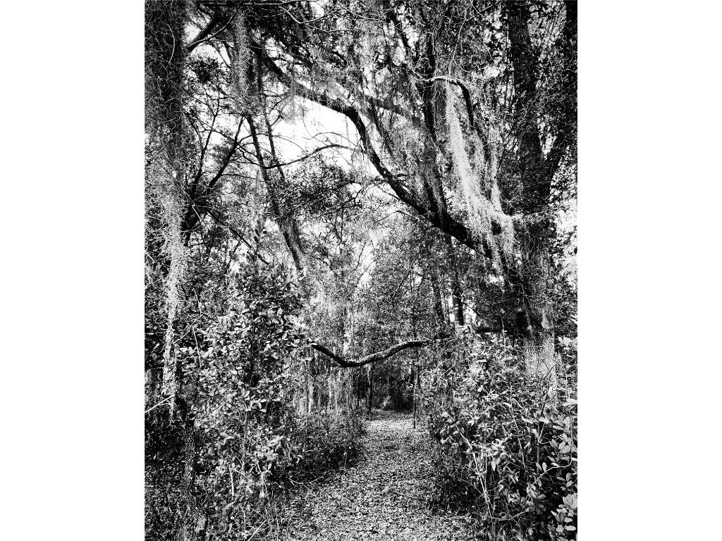 TBD SW Shorewood Drive Dunnellon FL 34431 OM707260 image13