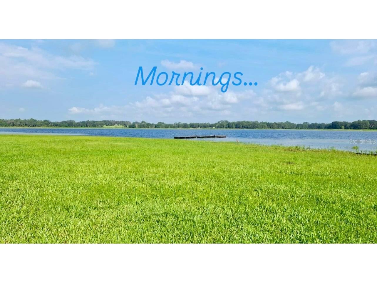 TBD SW Shorewood Drive Dunnellon FL 34431 OM707260 image14