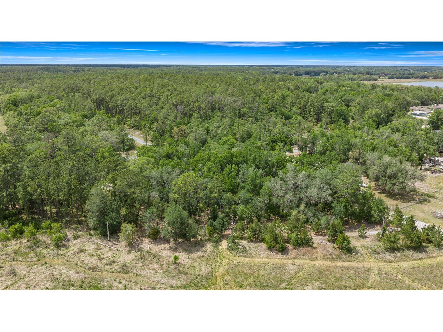 TBD SW Shorewood Drive Dunnellon FL 34431 OM723640 image5