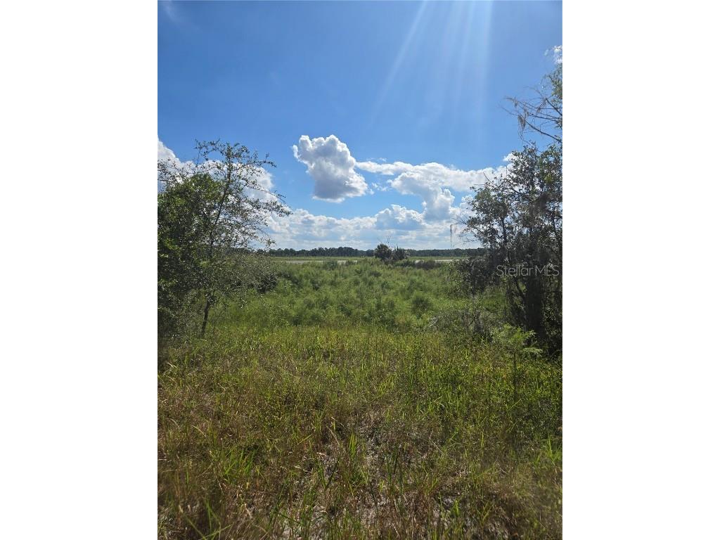 TBD SW Shorewood Drive N Dunnellon FL 34431 - LITTLE LAKE BONABLE W7868354 image1