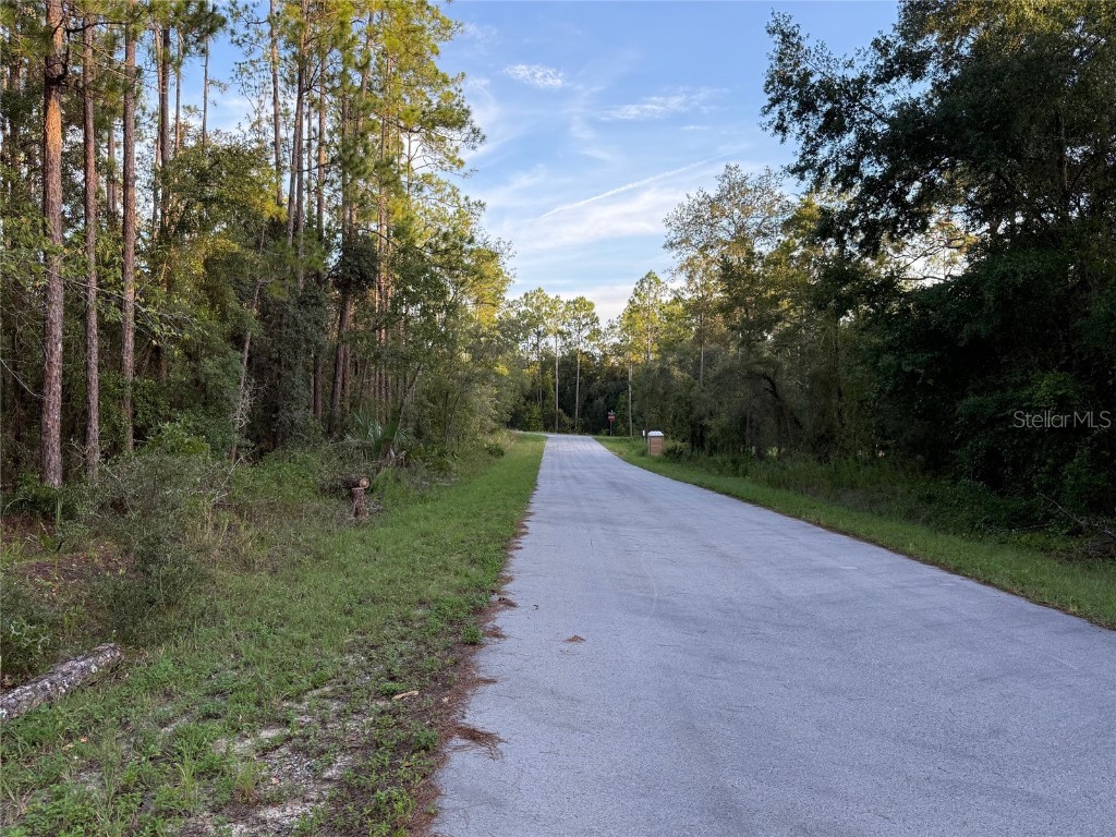 TBD SW South Water Court Dunnellon FL 34431 OM706660 image3