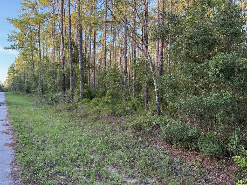 TBD SW South Water Court Dunnellon FL 34431 OM706660 image4