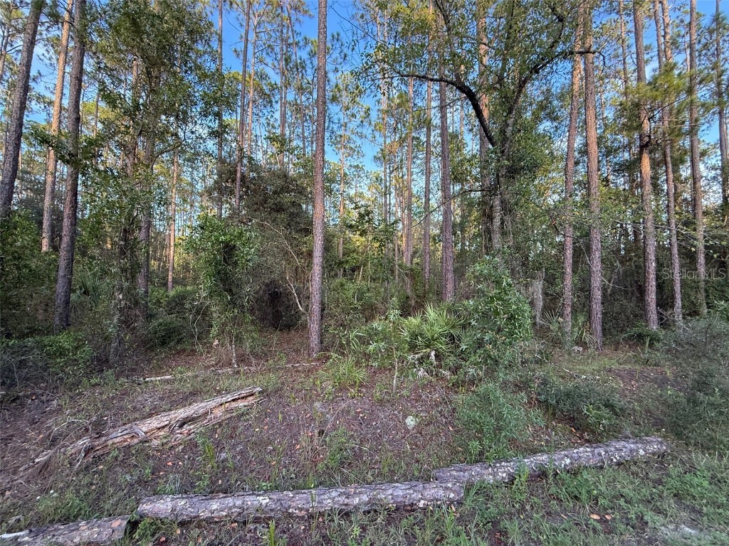 TBD SW South Water Court Dunnellon FL 34431 OM706660 image5