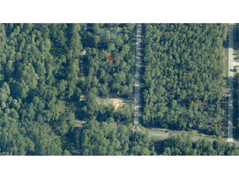 TBD SW South Water Court Dunnellon FL 34431 OM713309 image1