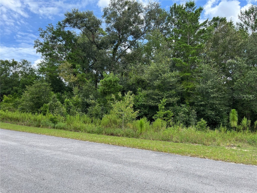 TBD SW Tamiami Place Dunnellon FL 34431 - BONABLE LAKE OM684681 image1