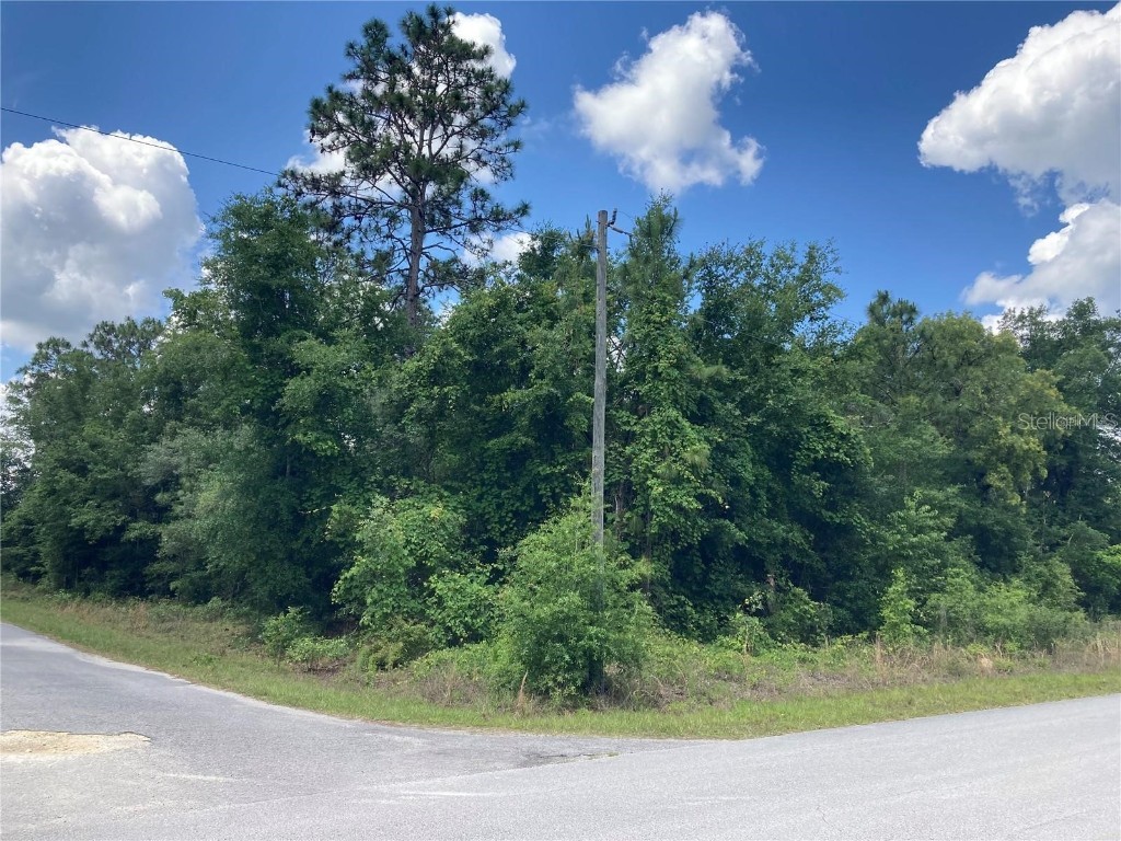 TBD SW Tarpon Boulevard Dunnellon FL 34431 OM672227 image1