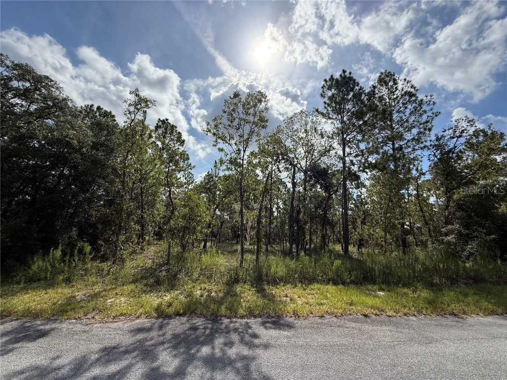 TBD SW Temple Heights Court Dunnellon FL 34431 OM706816 image1