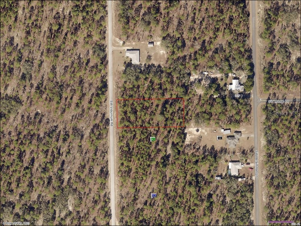 TBD SW Viburnam Rd Dunnellon FL 34430 OM652110 image1