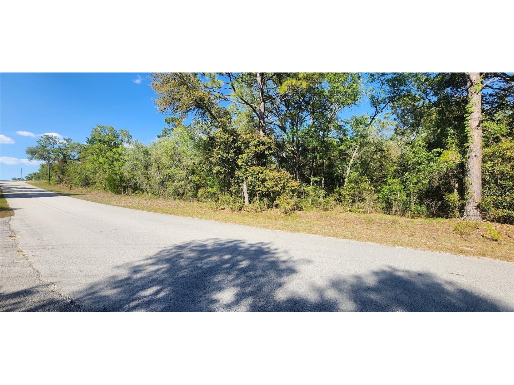 TBD SW Viburnum Road Dunnellon FL 34431 OM699097 image1