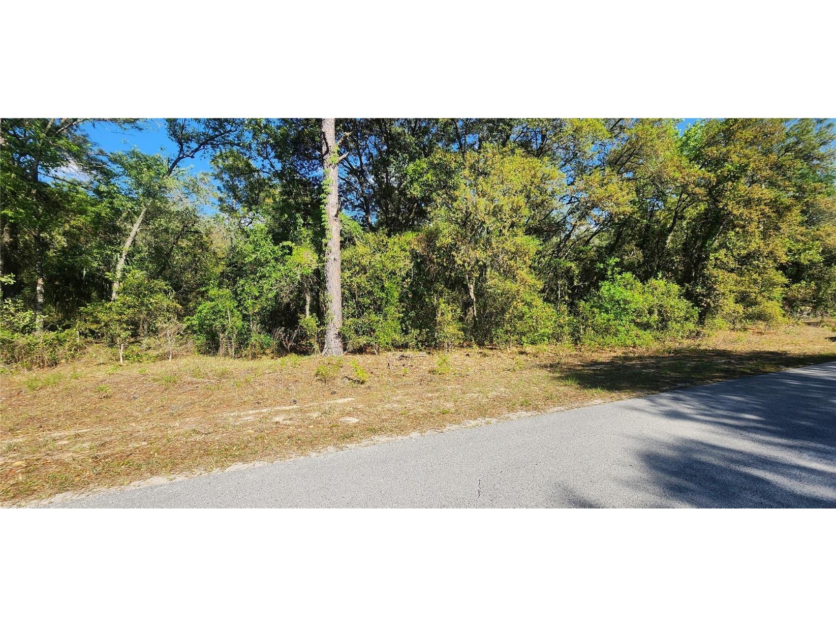 TBD SW Viburnum Road Dunnellon FL 34431 OM699097 image2