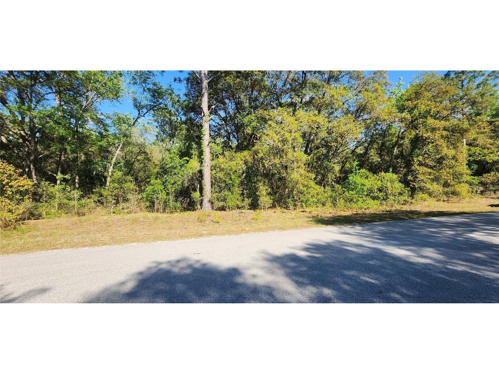 TBD SW Viburnum Road Dunnellon FL 34431 OM699097 image3
