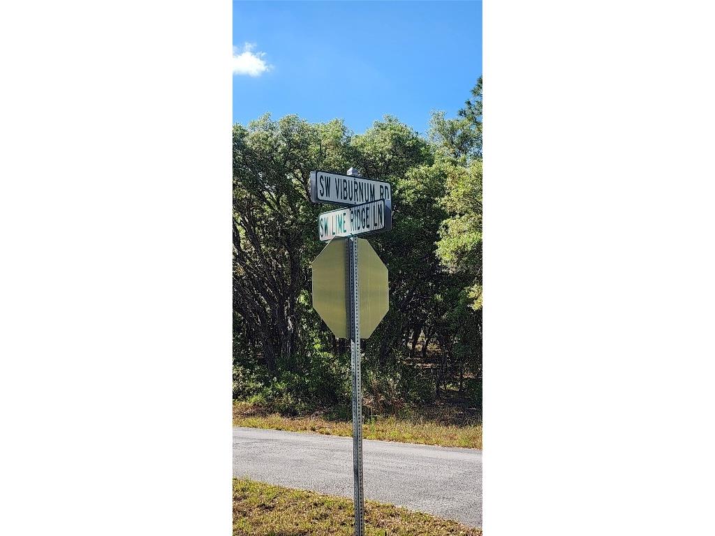TBD SW Viburnum Road Dunnellon FL 34431 OM699097 image4