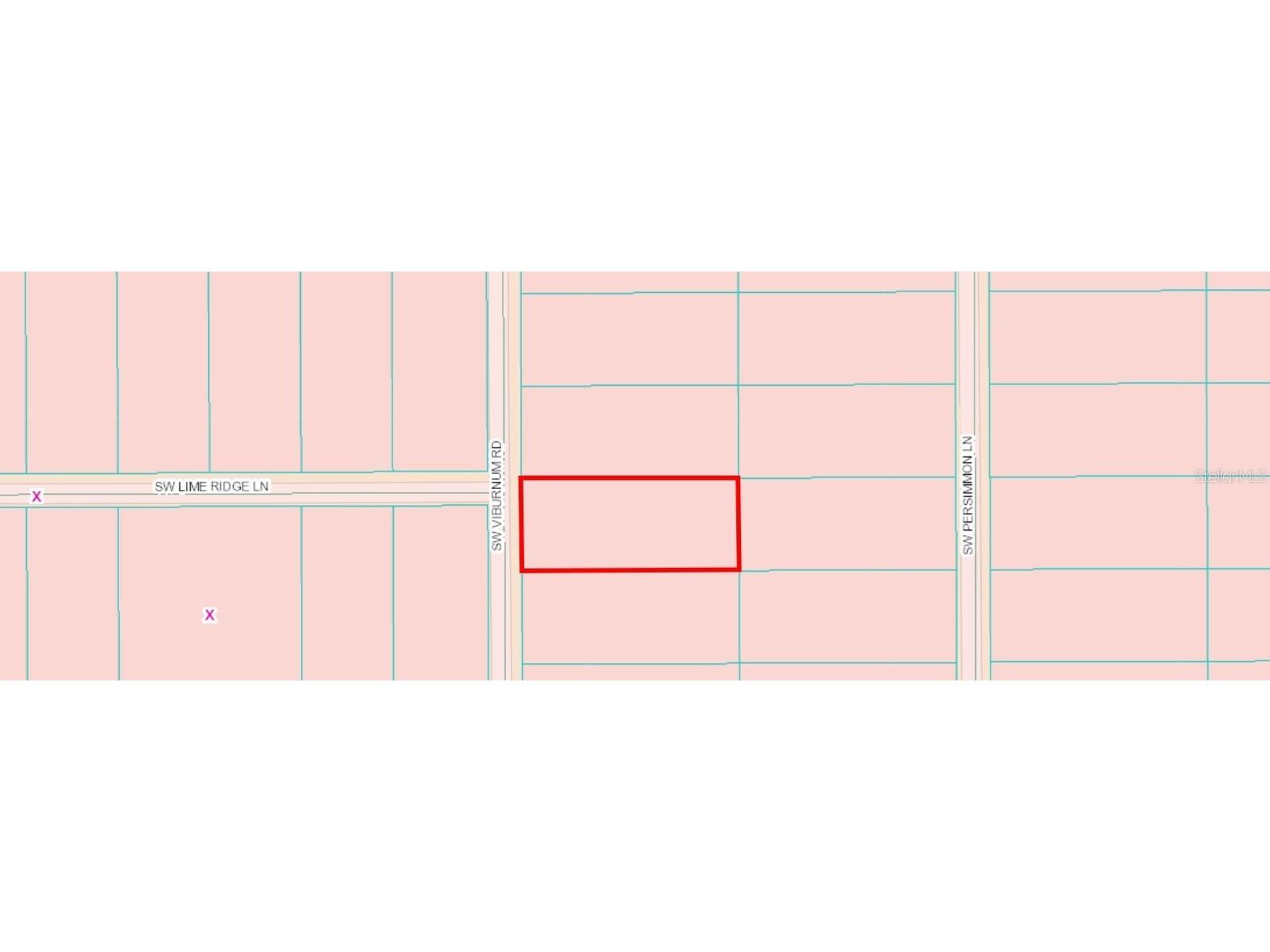 TBD SW Viburnum Road Dunnellon FL 34431 OM699097 image6