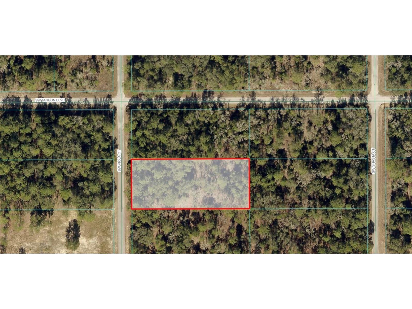 TBD SW Viola Court Dunnellon FL 34431 OM685024 image1