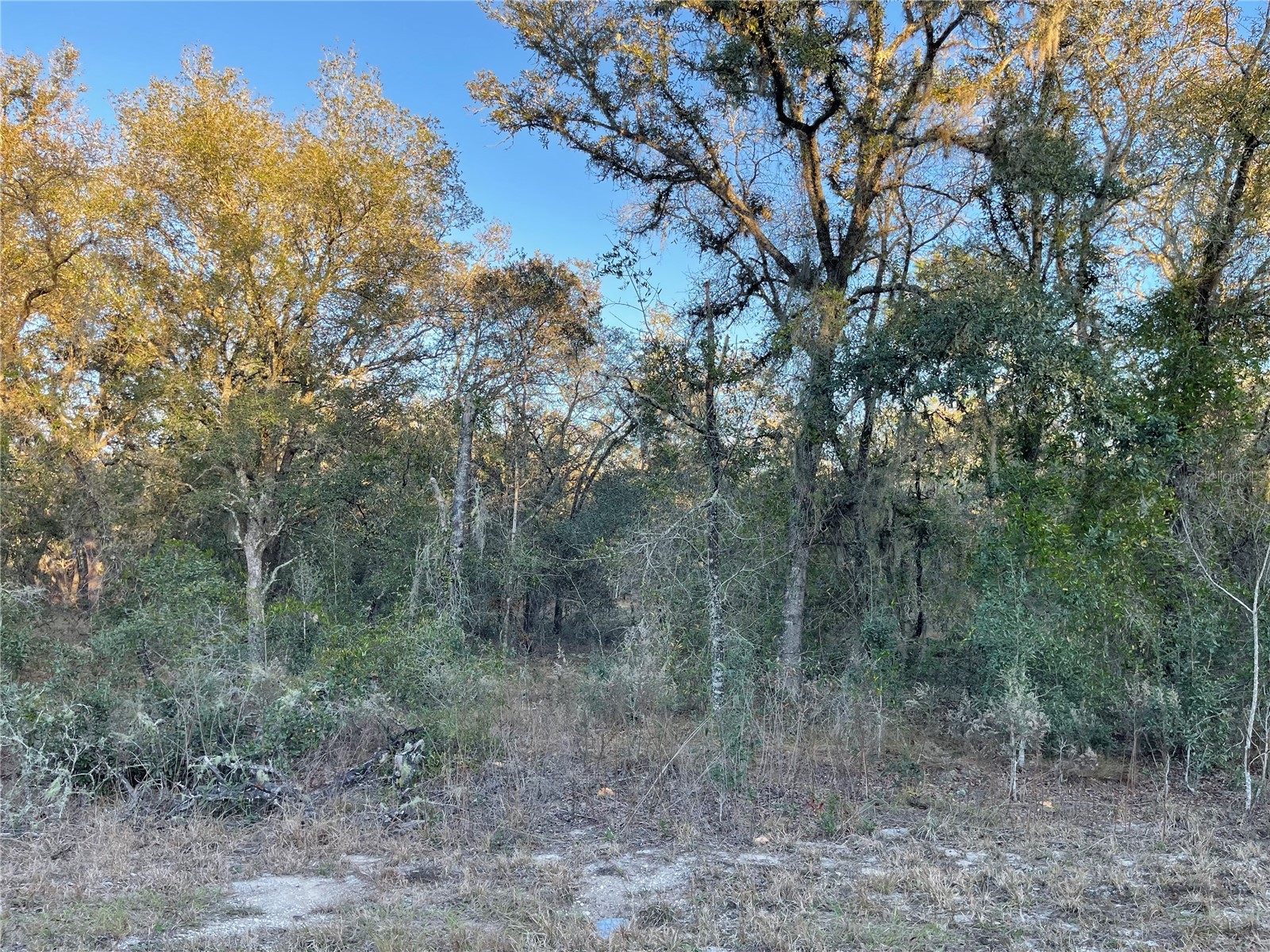 TBD SW Willow Rd Dunnellon FL 34431 GC536507 image1