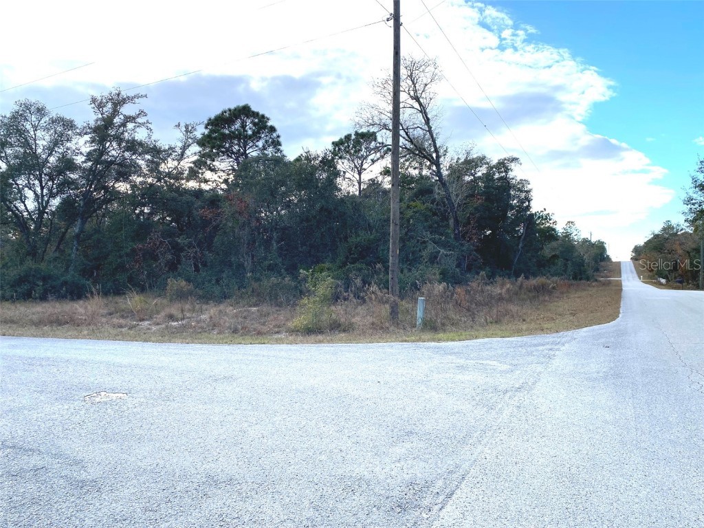TBD SW Willow Road Extension Dunnellon FL 34431 OM669771 image1