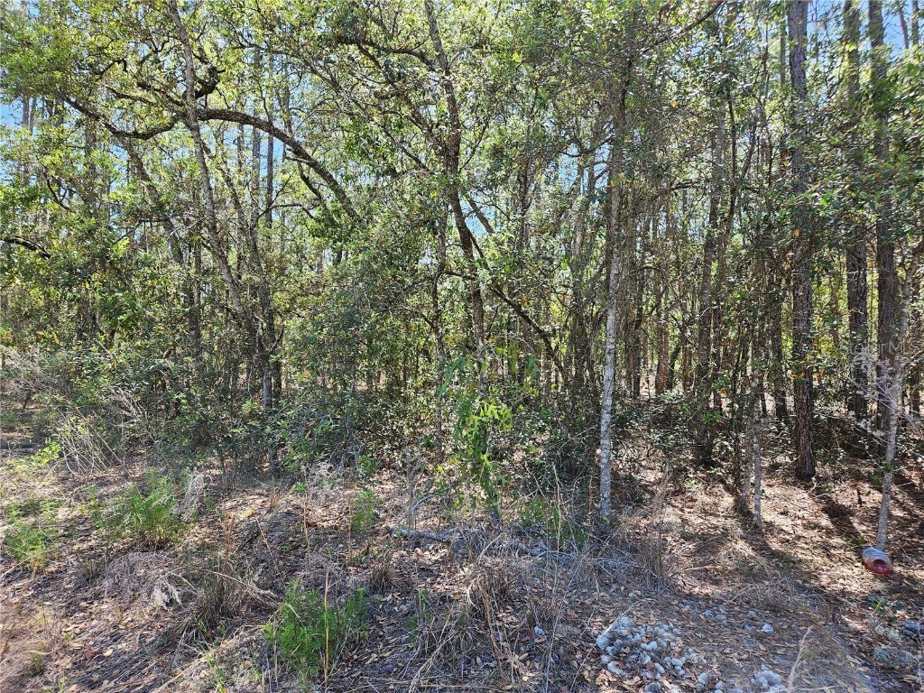 TBD SW Windinghills Road #BLK 9 LOT 13 Dunnellon FL 34431 OM656882 image1