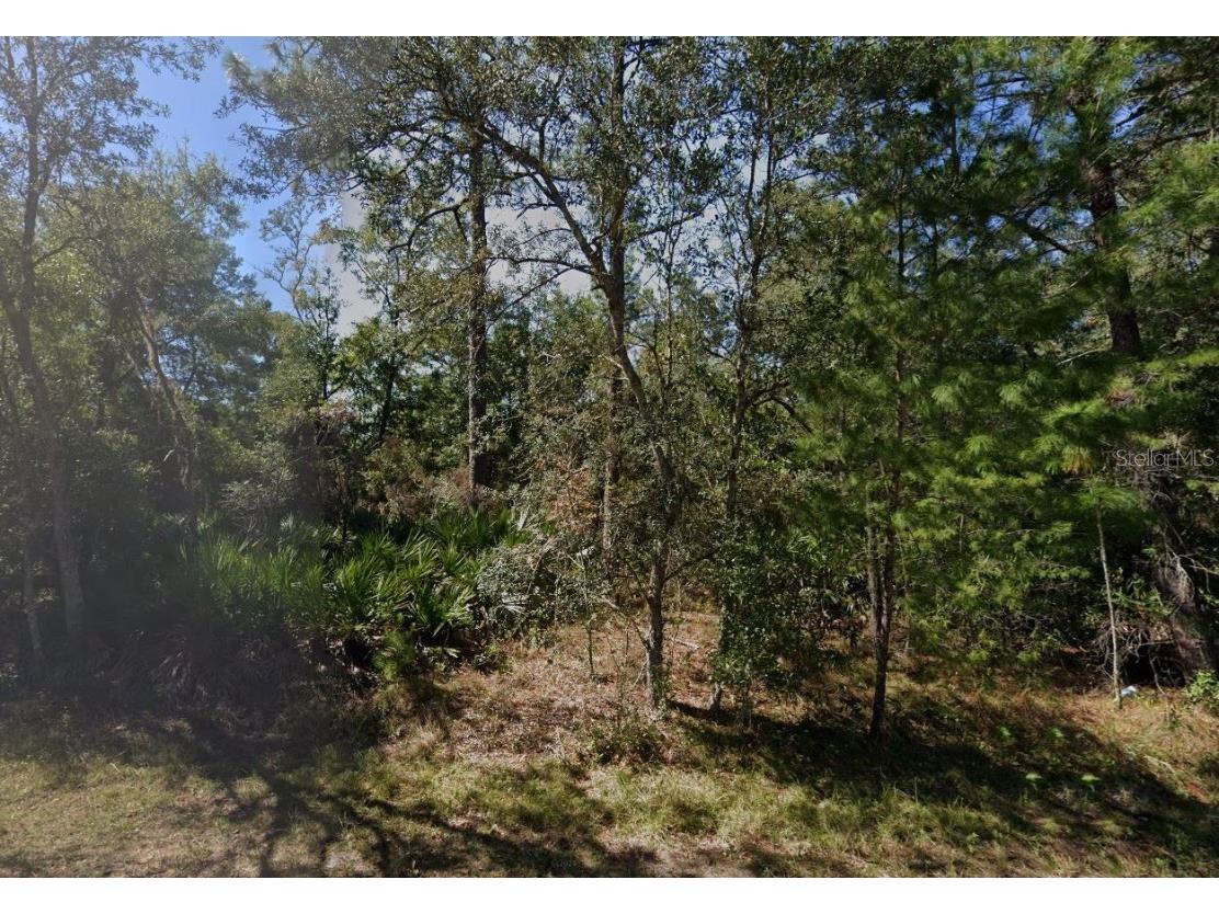 TBD Theresa Avenue Interlachen FL 32148 OK225527 image1