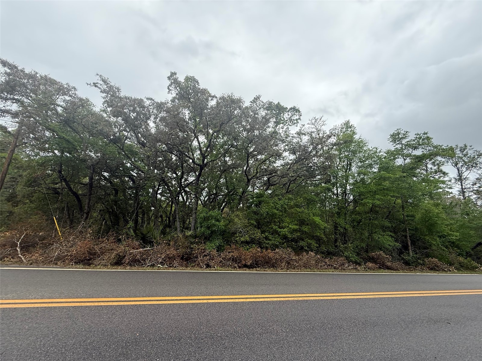 TBD Theresa Avenue Interlachen FL 32148 OK225527 image4