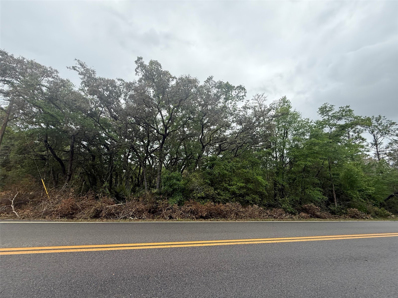 TBD Theresa Avenue Interlachen FL 32148 OK225527 image5