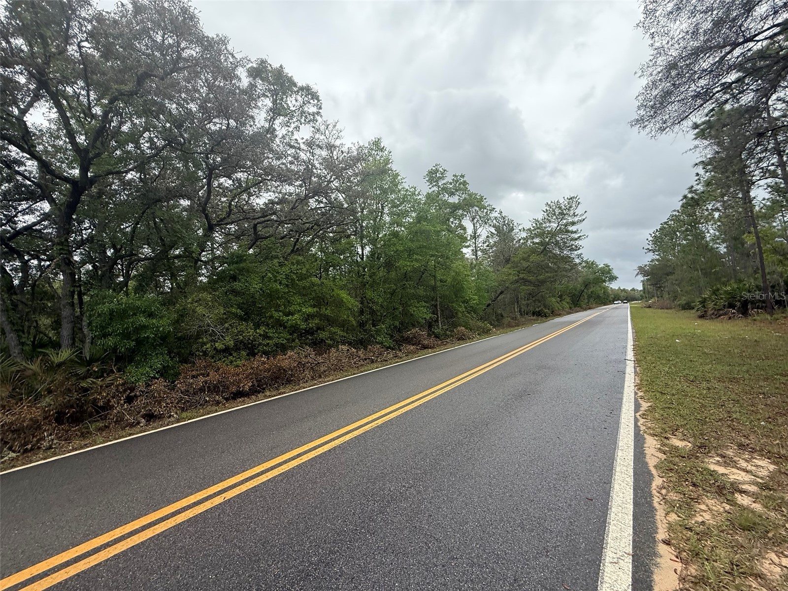 TBD Theresa Avenue Interlachen FL 32148 OK225527 image6