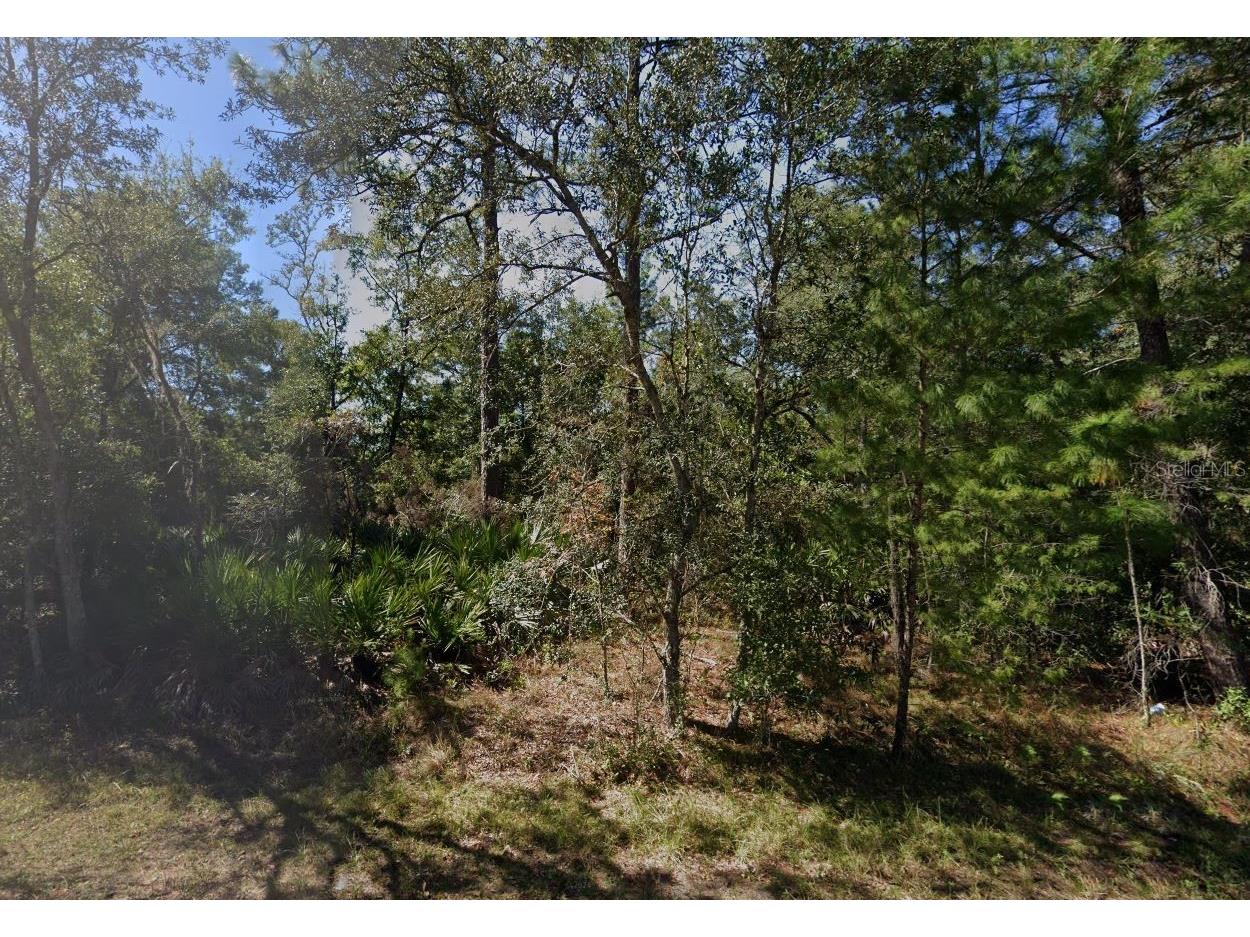 TBD Theresa Avenue Interlachen FL 32148 OK225527 image7