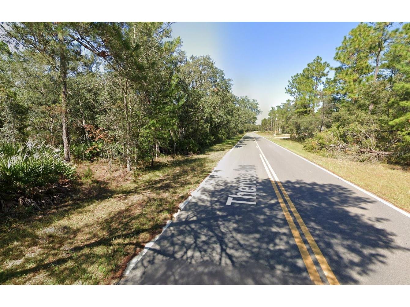 TBD Theresa Avenue Interlachen FL 32148 OK225527 image8
