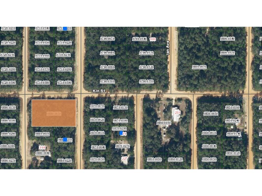 TBD Theresa Avenue Interlachen FL 32148 OM696599 image1