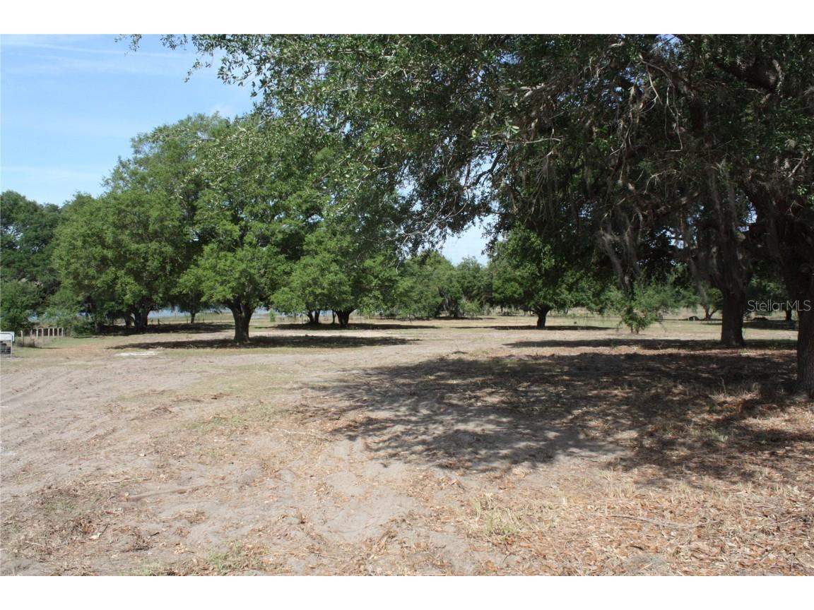 TBD Thomas Allen Road Howey In The Hills FL 34737 G5066860 image1