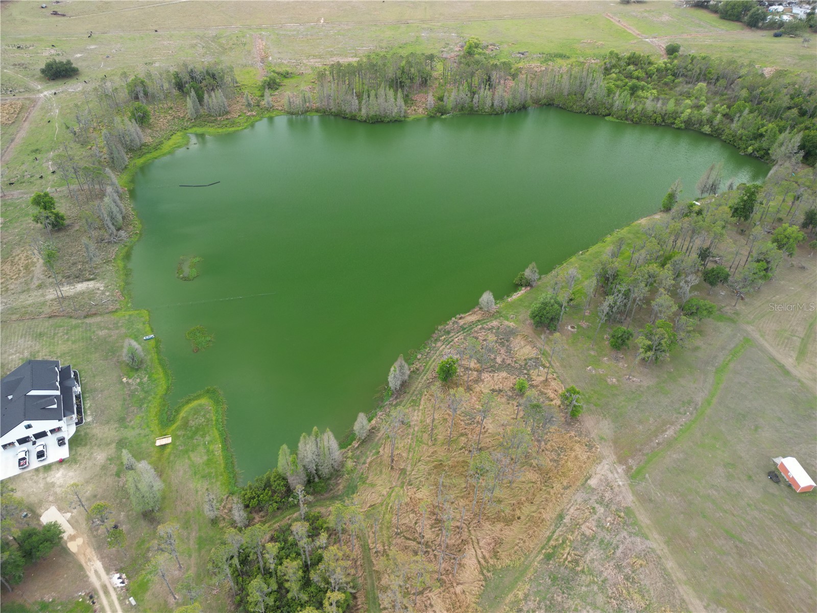 TBD Timbers Drive Fort Meade FL 33841 GC539184 image8