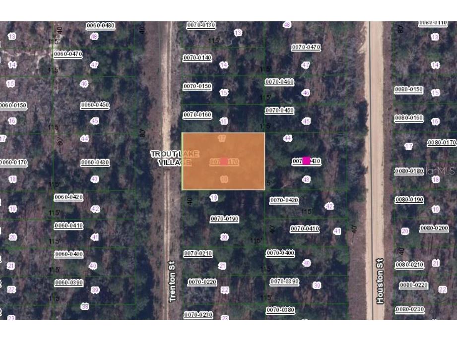 TBD Trenton Street Interlachen FL 32148 OM656782 image1