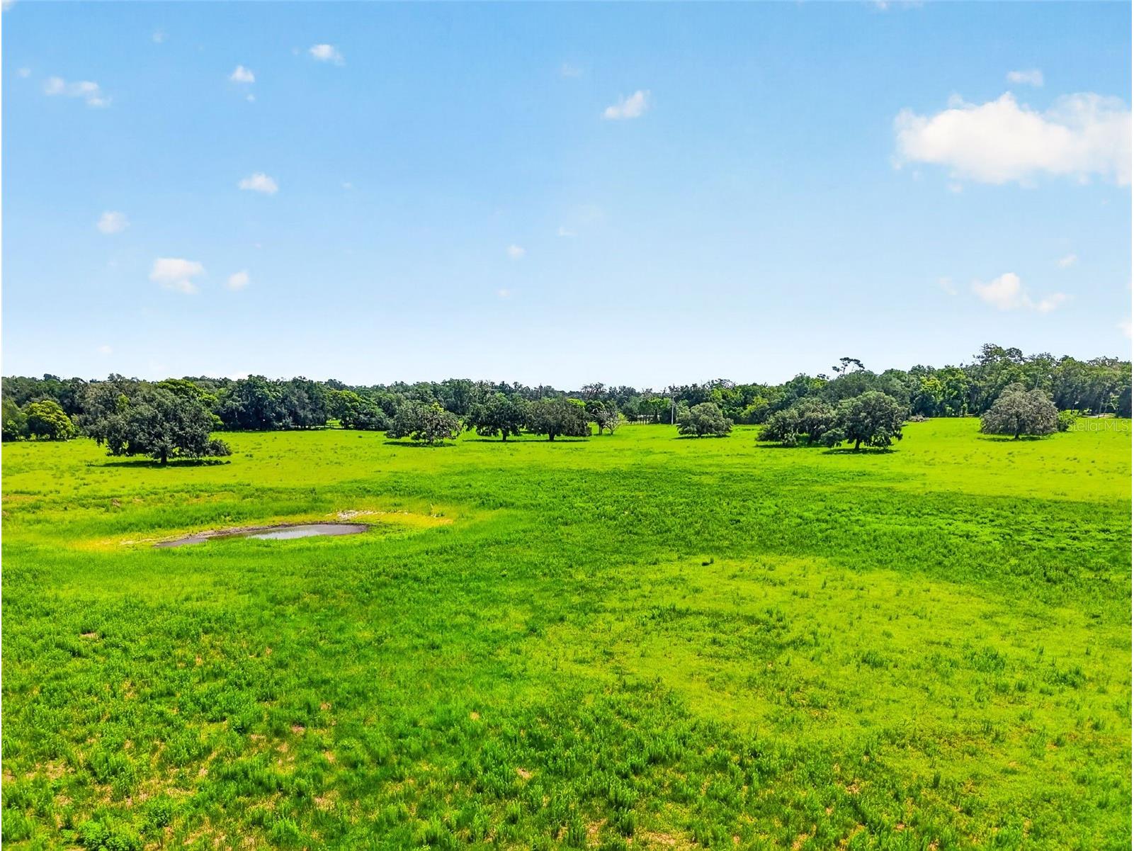 TBD Trilby Cemetery Road Dade City FL 33523 G5115531 image2