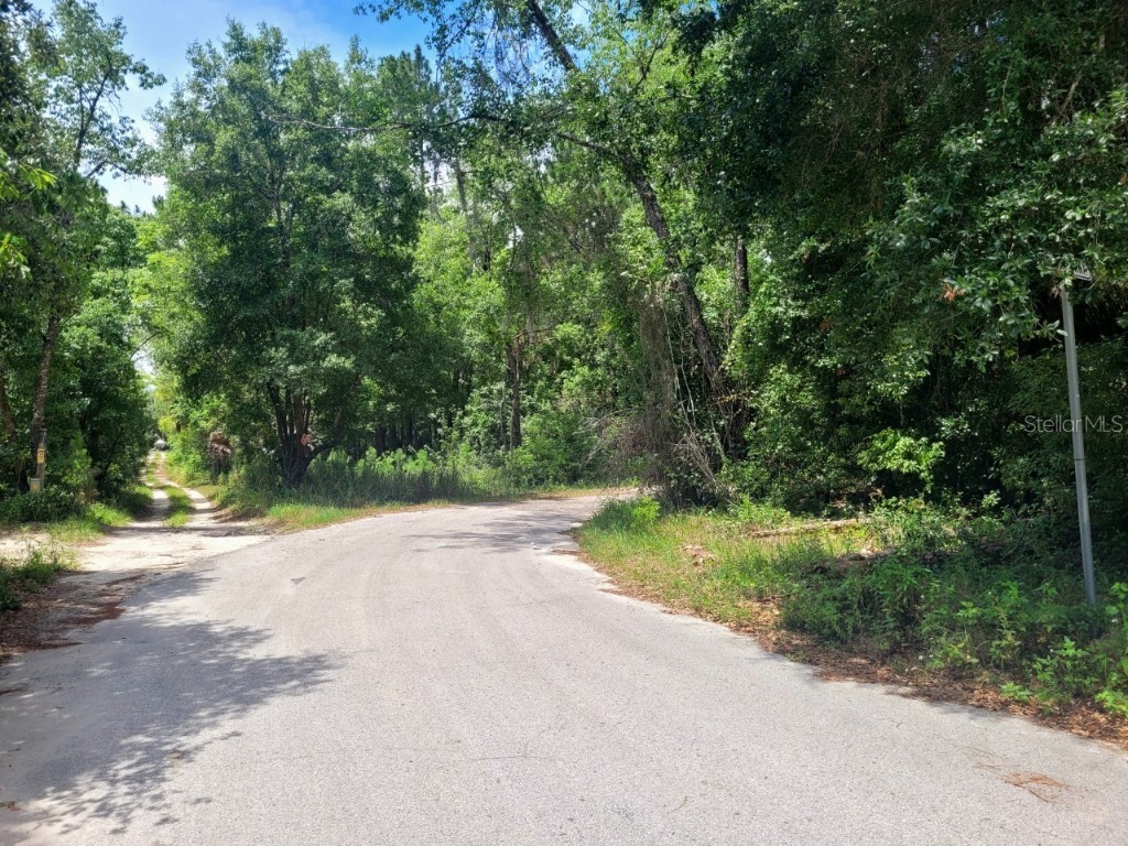 TBD Tropical Drive Eustis FL 32726 O6104825 image18