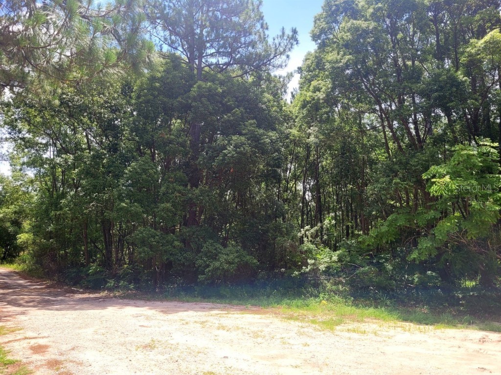 TBD Tropical Drive Eustis FL 32726 O6104825 image19