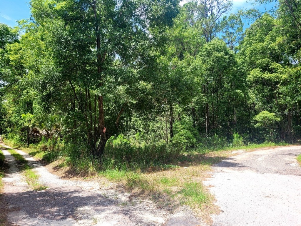 TBD Tropical Drive Eustis FL 32726 O6104825 image20