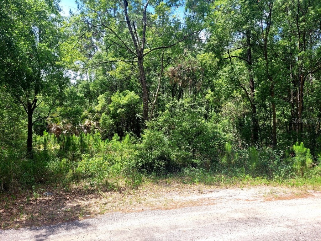 TBD Tropical Drive Eustis FL 32726 O6104825 image21