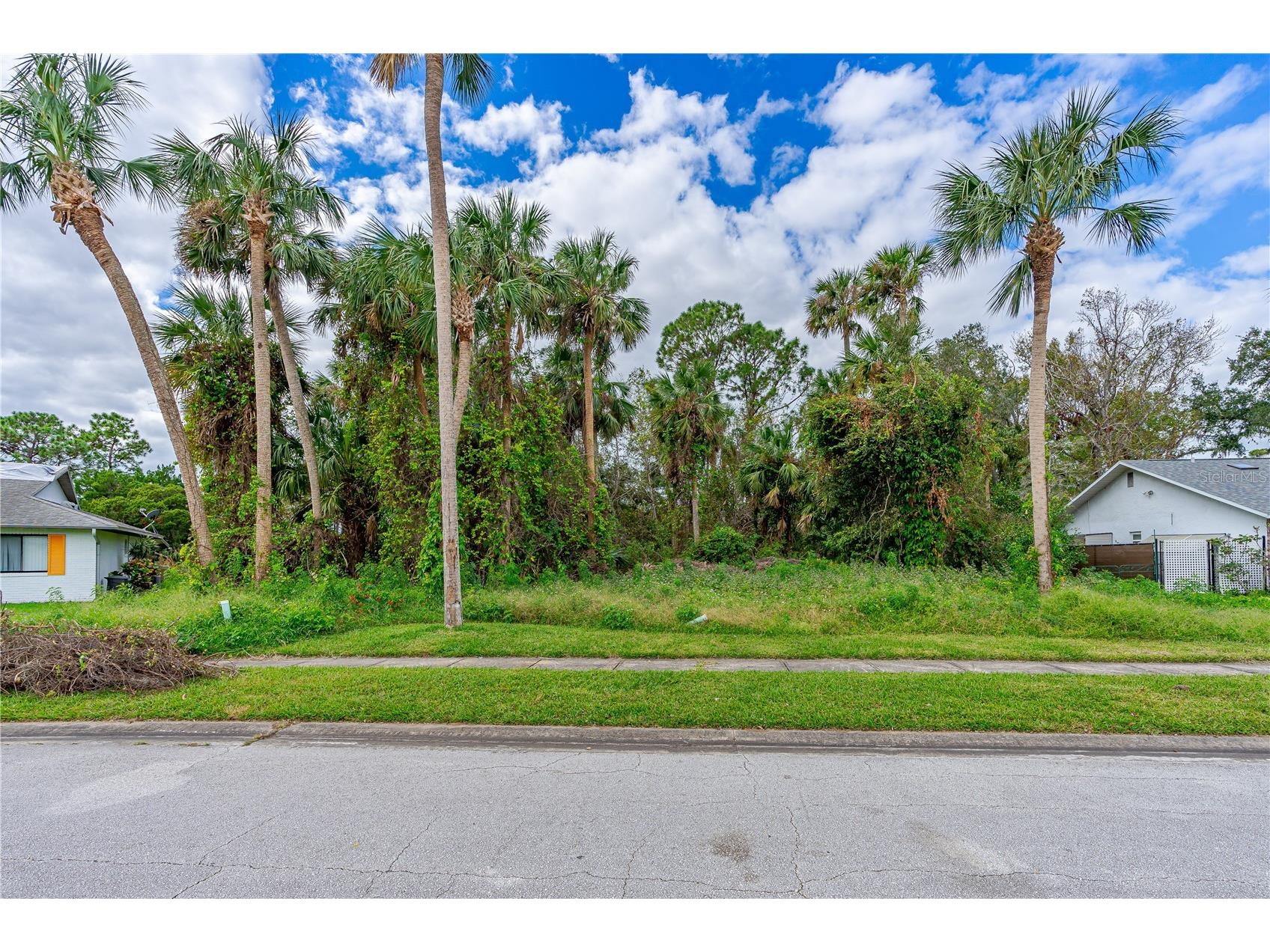 TBD Tumbleweed Trail Port Orange FL 32127 V4948445 image6