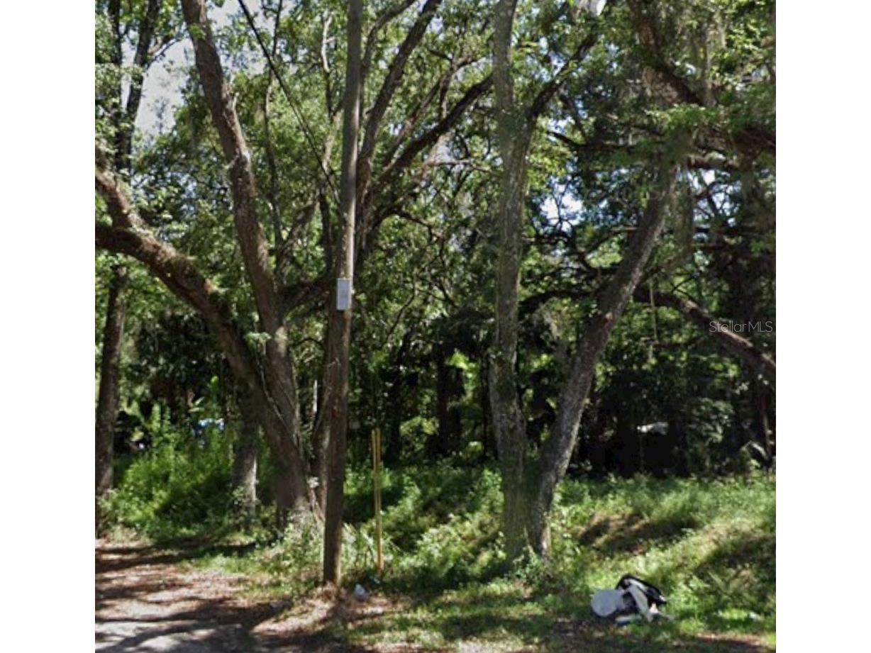 TBD Twigg Street Brooksville FL 34601 GC537617 image1